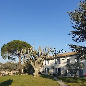 Le Mas Du Petit Duc Hébergement de vacances Cavaillon